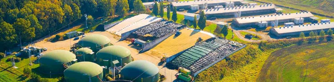 Waste to Energy & Biomass